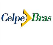 PORTUGUÊS - PREPARATÓRIO PARA CERTIFICAÇÃO CELPE BRAS